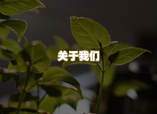 关于瑞达标测